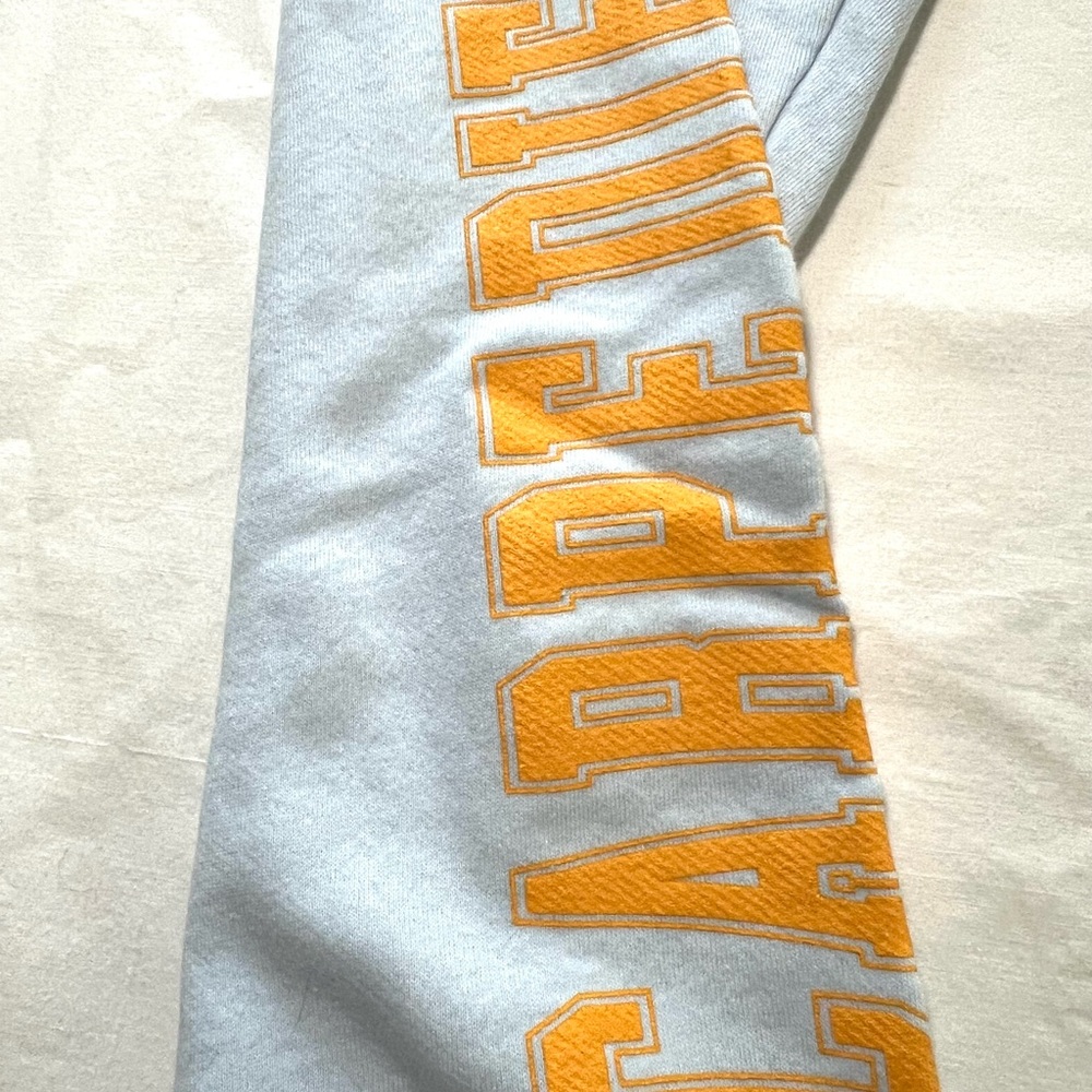 Spiritual Gangster Light Blue Sweatpants joggers Carpe Diem L or XL NWT - Picture 5 of 8